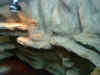 2stockterrarium 1500x700x1900 3.JPG (126966 Byte)