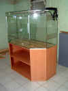 DSCF0004.JPG (204704 Byte)