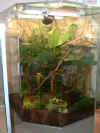 DSCF0035.JPG (120625 Byte)