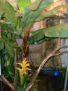 DSCF0037.JPG (122802 Byte)