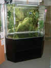 Deltaterrarium 1400x700x1000, Tapete und Unterbau 2.JPG (125640 Byte)