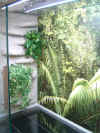 Deltaterrarium 1400x700x1000, Tapete und Unterbau 4.JPG (127072 Byte)