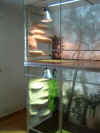 Deltatgerrarium 1900x1100x2370 1.JPG (117804 Byte)