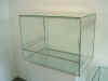 Rechteckterrarium 800x500x600.JPG (118343 Byte)