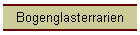 Bogenglasterrarien