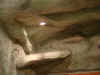2000x750x2000 2.JPG (142075 Byte)