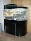 Bogenglasterrarium 1500x700x1000.JPG (148381 Byte)