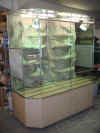 Chamaeleonterrarium 1750x750x1400 2.JPG (140070 Byte)