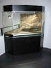 Delta-Eckterrarium 1200x1200x900 1.JPG (139551 Byte)
