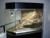 Delta-Eckterrarium 1200x1200x900 2.JPG (142854 Byte)