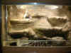 Doppeleterrarium 1300x670x2360 4.JPG (140933 Byte)