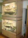 Doppeleterrarium 1300x670x2360 5.JPG (149923 Byte)
