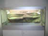 PVS Terrarium 2000x700x1800 2.JPG (128300 Byte)
