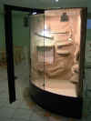 003.JPG (445807 Byte)