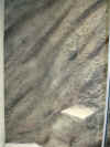 Eckterrarium 1120x1120x1190 UF 2.jpg (141061 Byte)